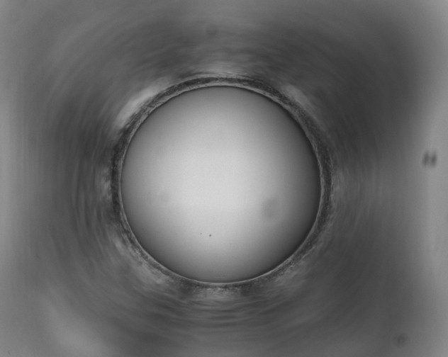 X0000111451307200907201039