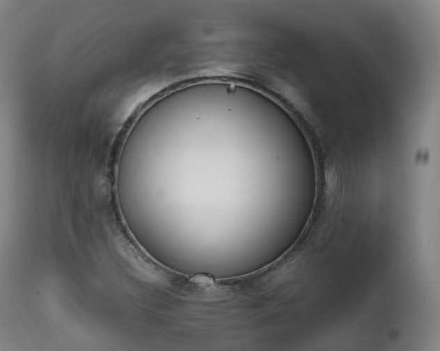 X0000111451308200907201039