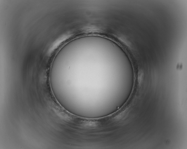 X0000111451309200907201039