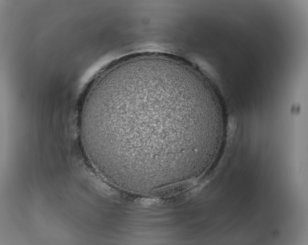 X0000111451310200907201039