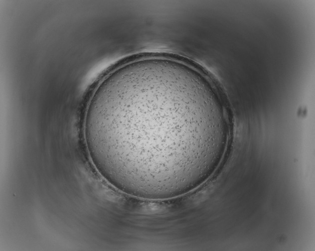 X0000111451311200907201039