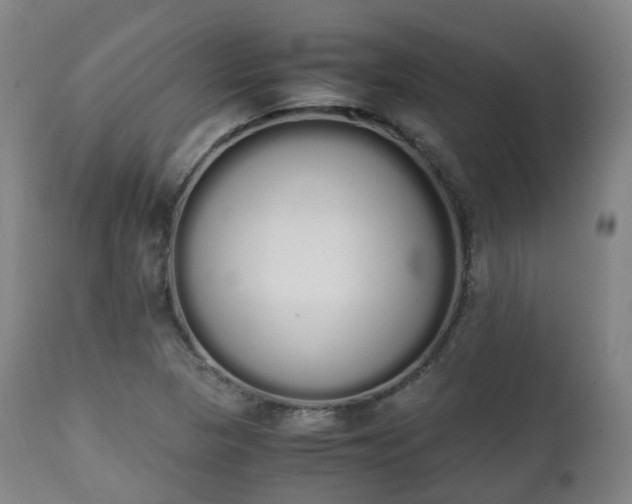 X0000111451313200907201039