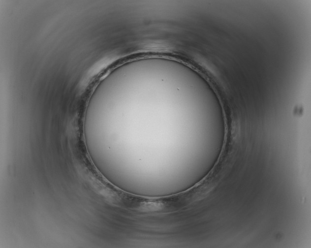 X0000111451315200907201039