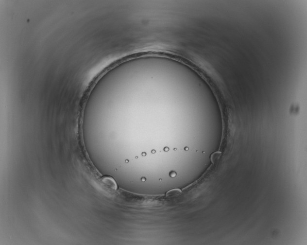 X0000111451316200907201039