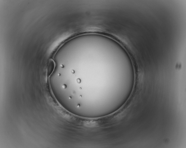 X0000111451317200907201039