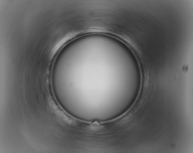 X0000111451325200907201039