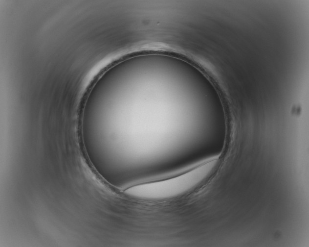 X0000111451326200907201039