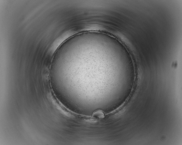 X0000111451329200907201039