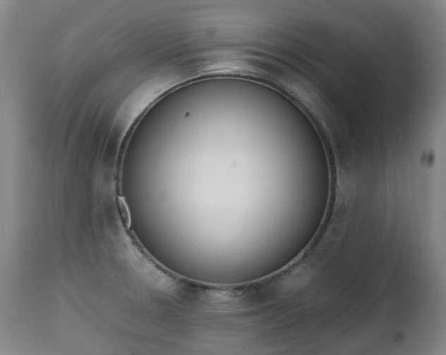 X0000111451330200907201039