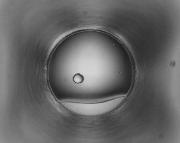 X0000111451332200907201039