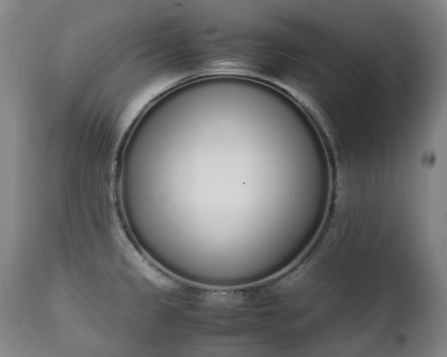 X0000111451333200907201039