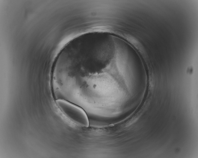 X0000111451334200907201039
