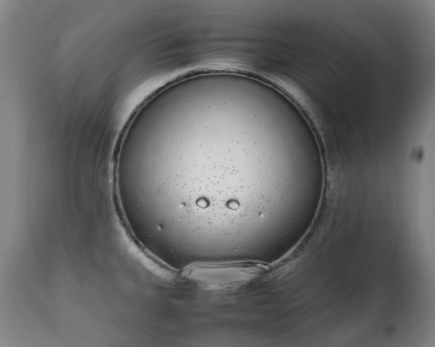 X0000111451335200907201039