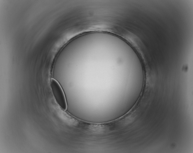 X0000111451336200907201039