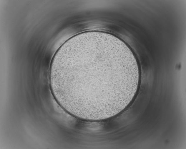 X0000111451338200907201039