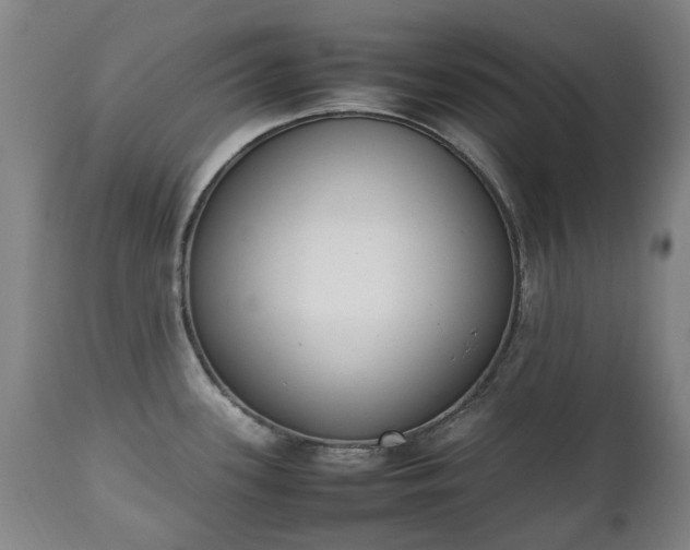 X0000111451339200907201039