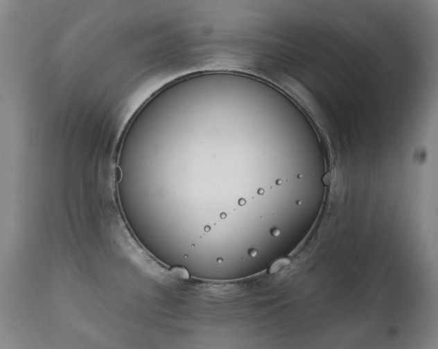 X0000111451340200907201039