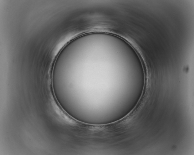 X0000111451341200907201039