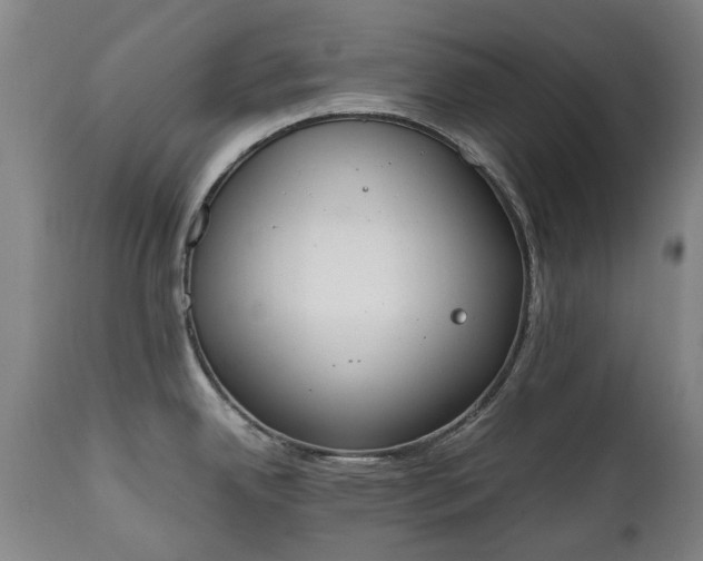 X0000111451342200907201039