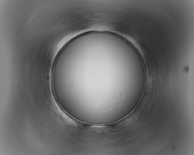 X0000111451343200907201039