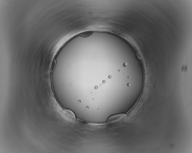 X0000111451344200907201039