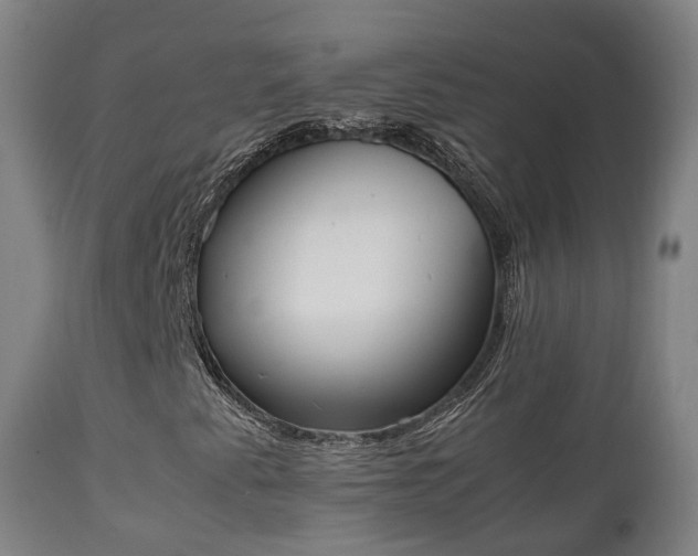 X0000111451345200907201039