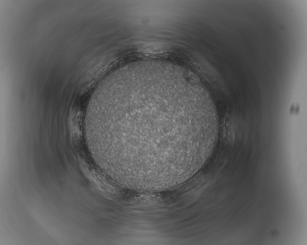 X0000111451346200907201039