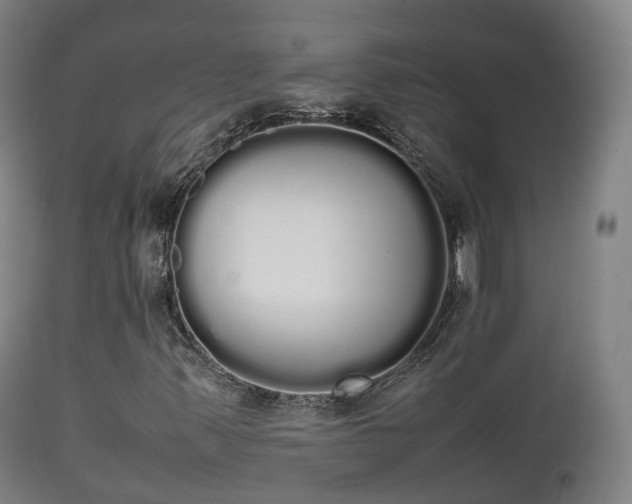 X0000111451347200907201039