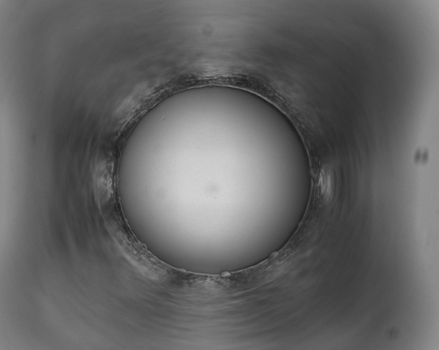 X0000111451348200907201039