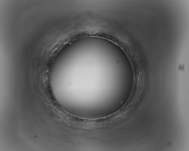 X0000111451349200907201039