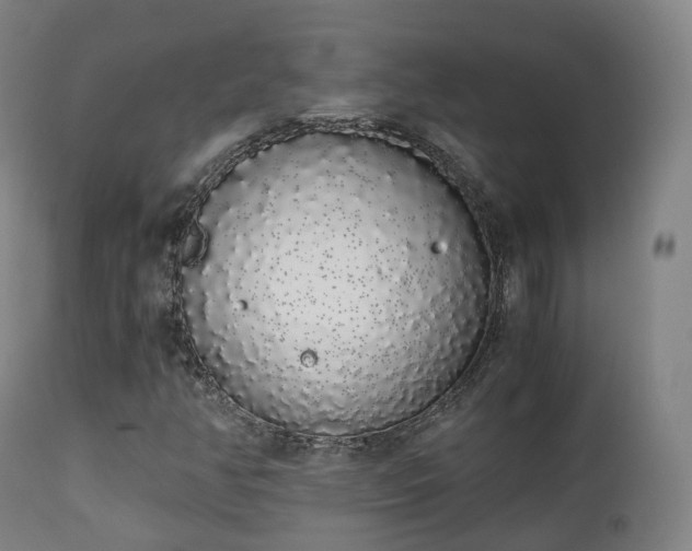 X0000111451350200907201039