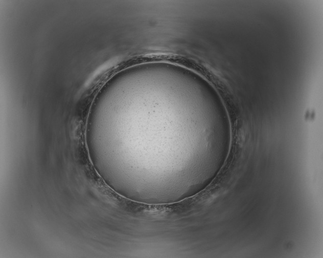 X0000111451351200907201039