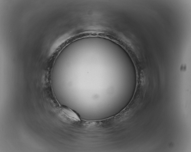 X0000111451352200907201039