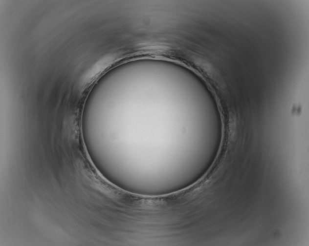 X0000111451354200907201039