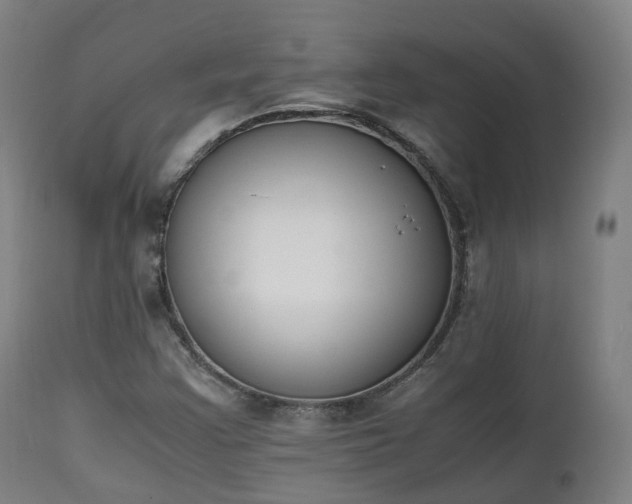 X0000111451355200907201039
