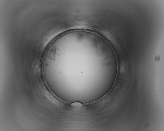 X0000111451356200907201039
