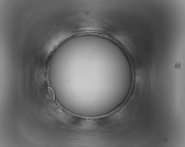 X0000111451357200907201039