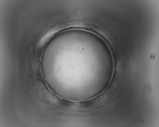 X0000111451359200907201039