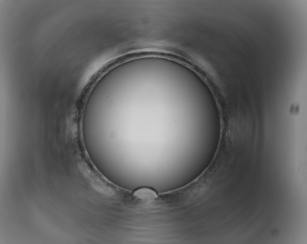 X0000111451360200907201039