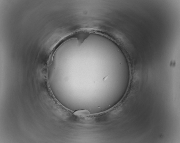 X0000111451361200907201039