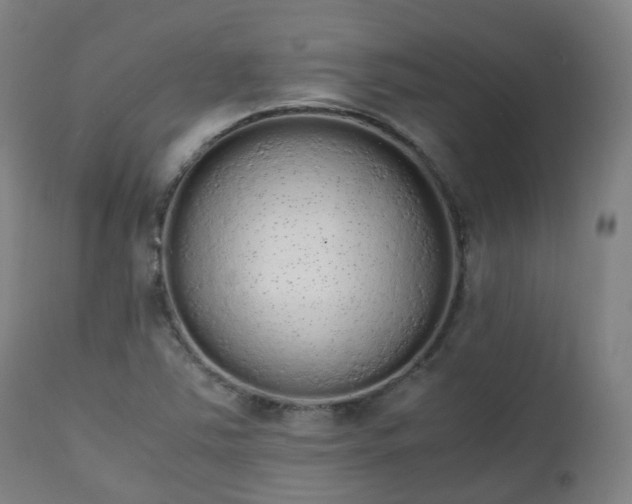 X0000111451363200907201038
