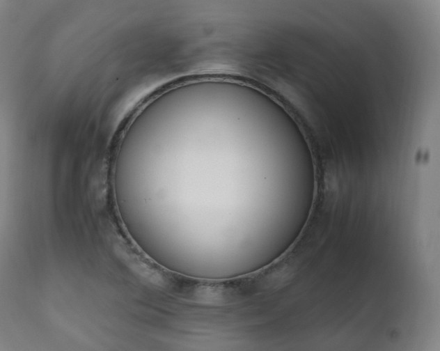 X0000111451364200907201038