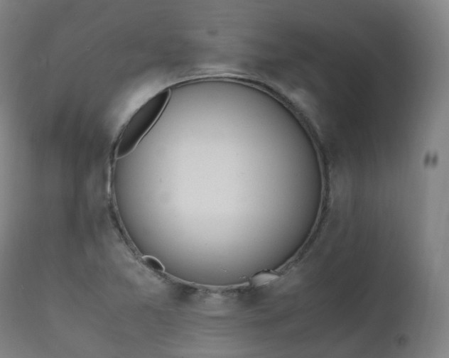 X0000111451365200907201038