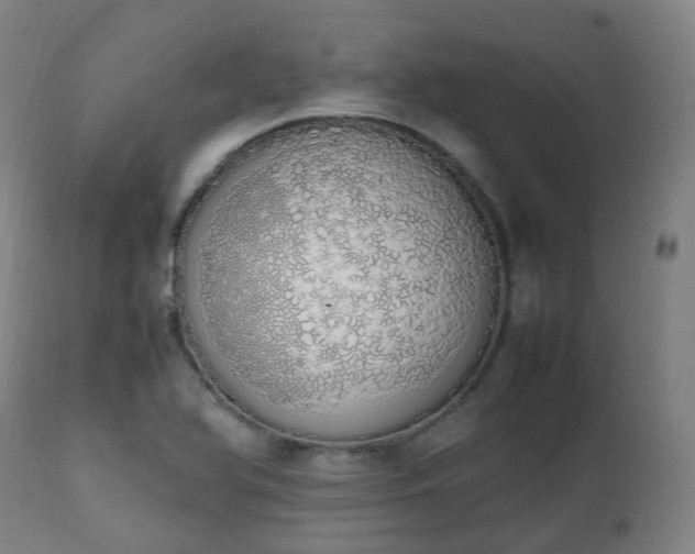 X0000111451366200907201038