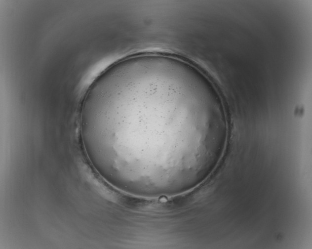 X0000111451367200907201038