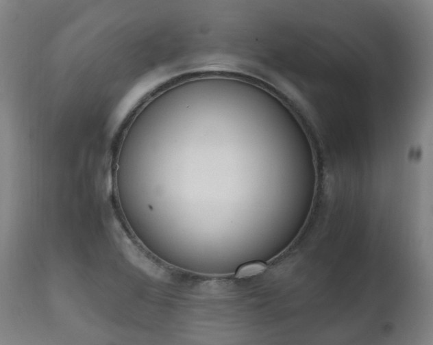 X0000111451368200907201038
