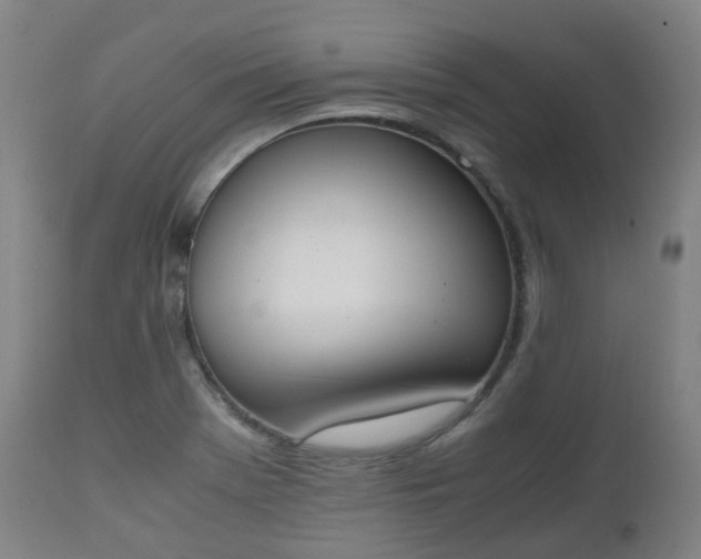 X0000111451369200907201038