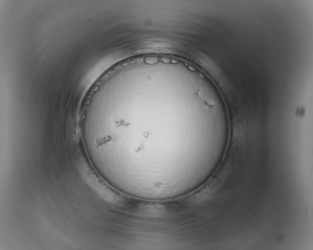 X0000111451370200907201038