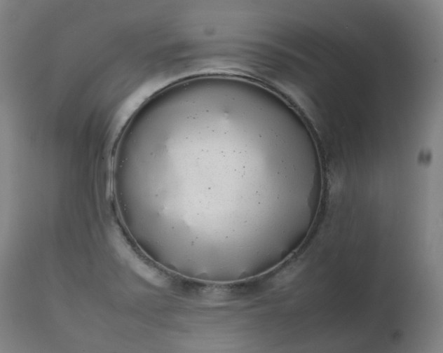 X0000111451371200907201038
