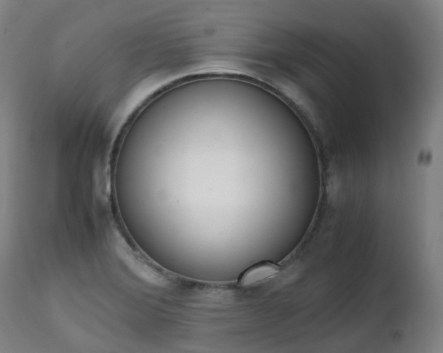 X0000111451372200907201038